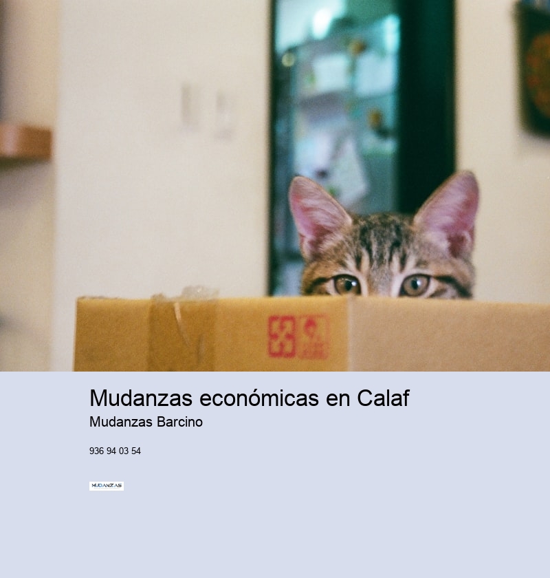 Mudanzas económicas en Calaf 